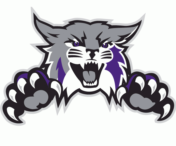 Weber State Wildcats 2012-Pres Alternate Logo diy fabric transfer